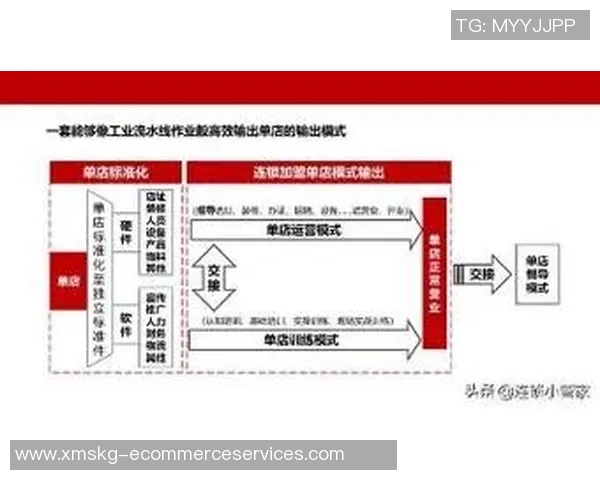 深圳足球队运营模式深度解析与未来发展展望